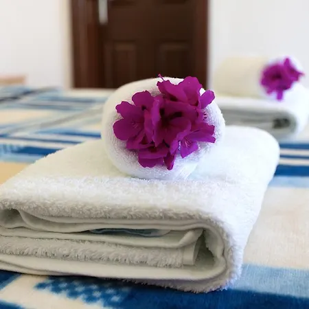 Bed & Breakfast Garden *