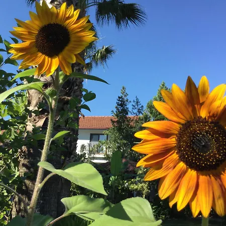 Garden Bed & Breakfast Dalyan